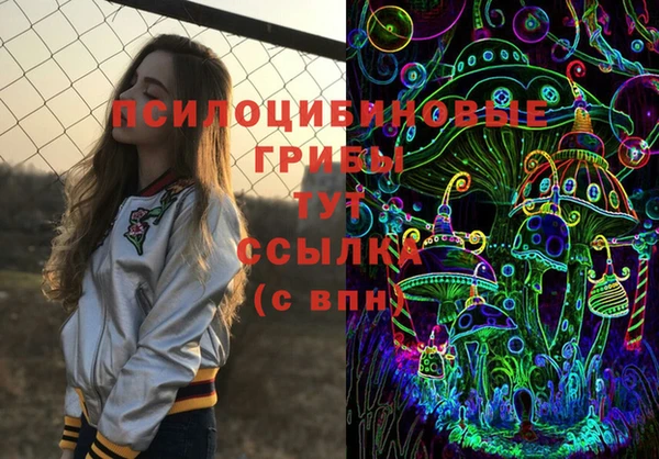 герыч Алексин