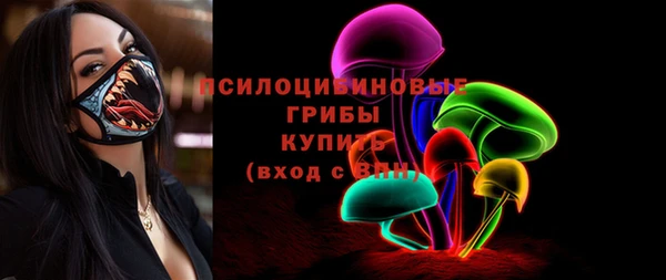 МДПВ Алзамай