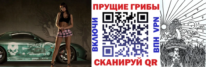 Галлюциногенные грибы Cubensis  Хвалынск 