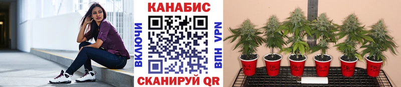 Бошки Шишки LSD WEED Хвалынск